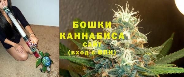 крисы Инта